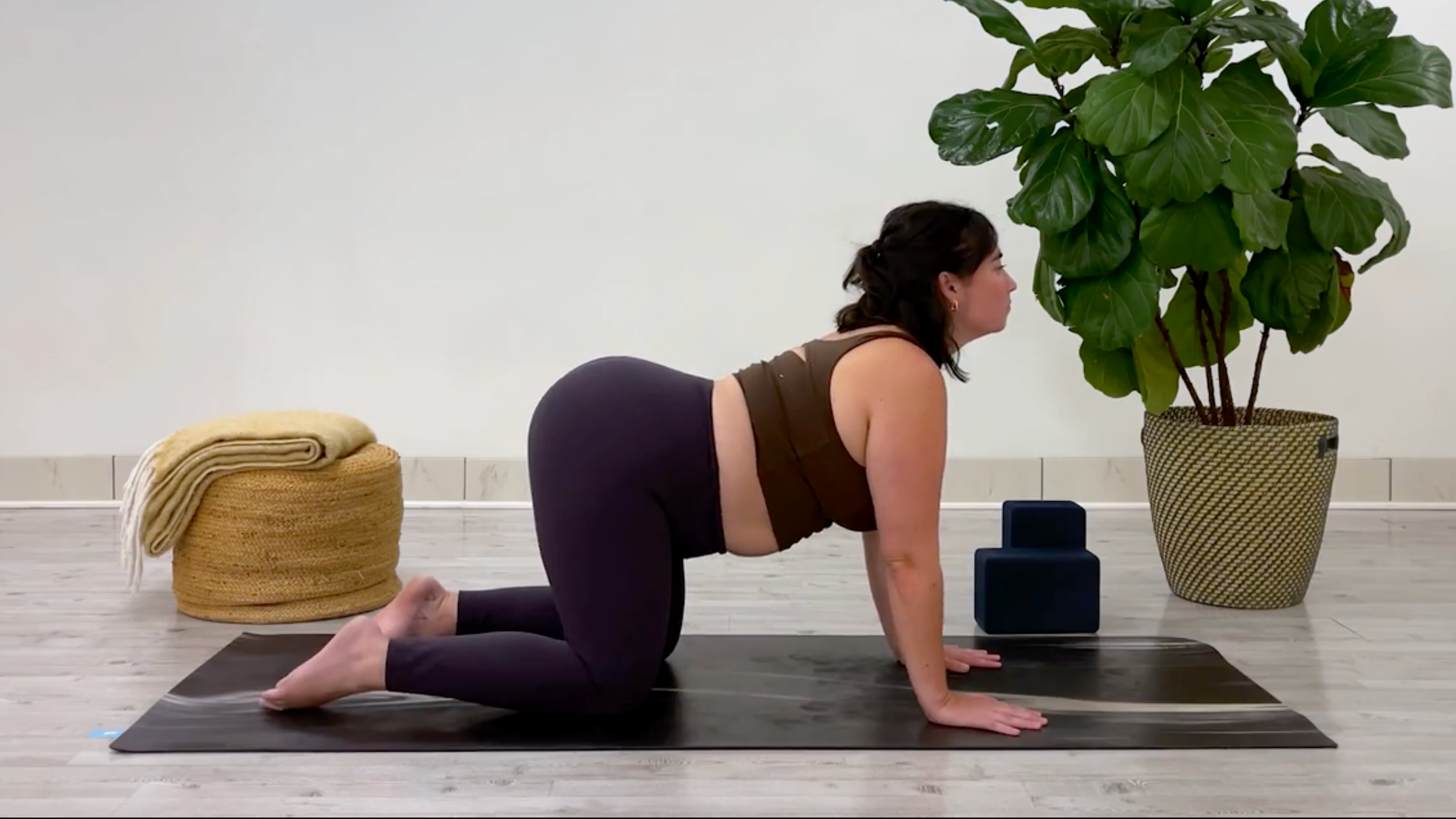 Yoga teacher Taylor Lorenz in Cow Pose, part of her side stretch practice